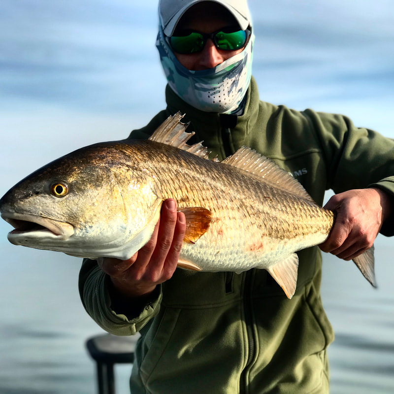 Bull Redfish fly fishing in Louisiana with Redfish Dynasty